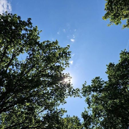 Stacaravan Verhuur Drenthe Hotel Eext Екстериор снимка